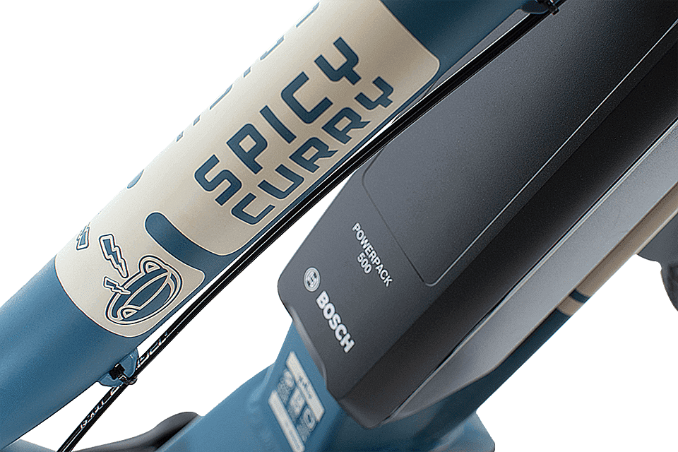 Spicy Curry - ebike propulsione Bosch