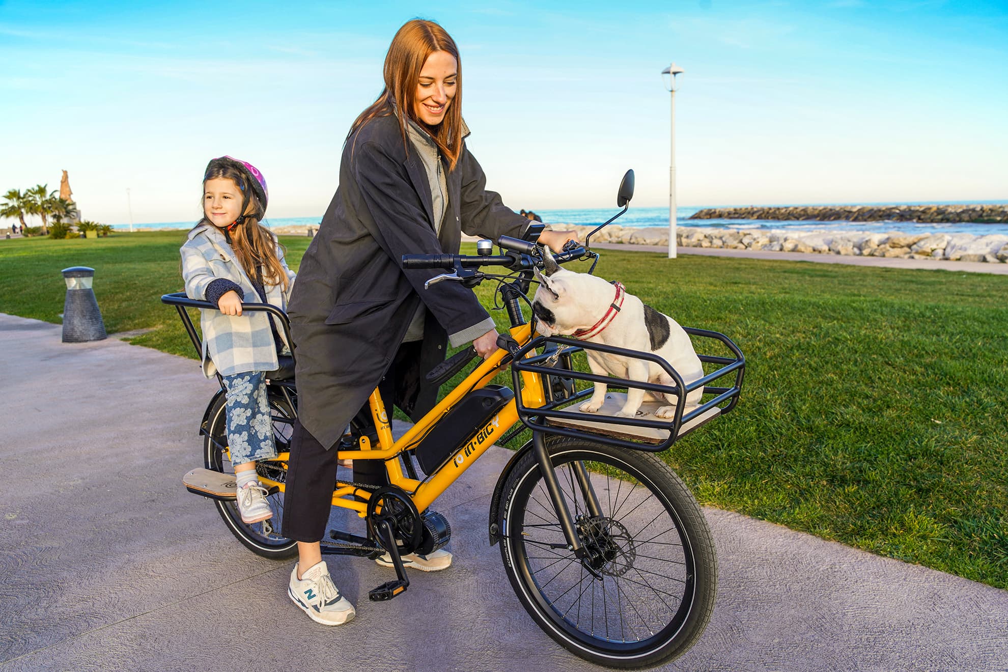 Bicycle carrier - iOInBicy Power