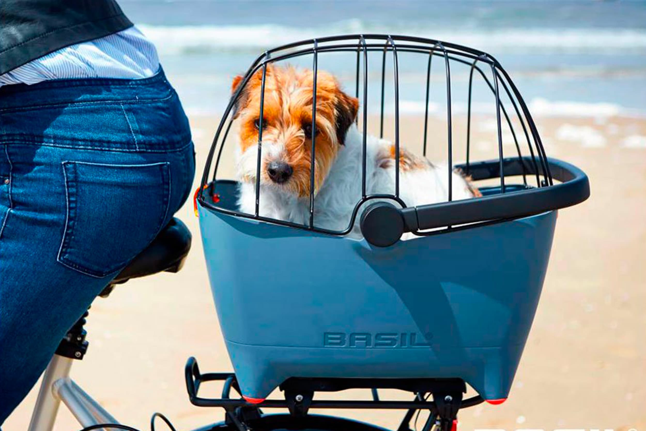 Fahrradkorb für Hunde 10 kg - Basil Buddy