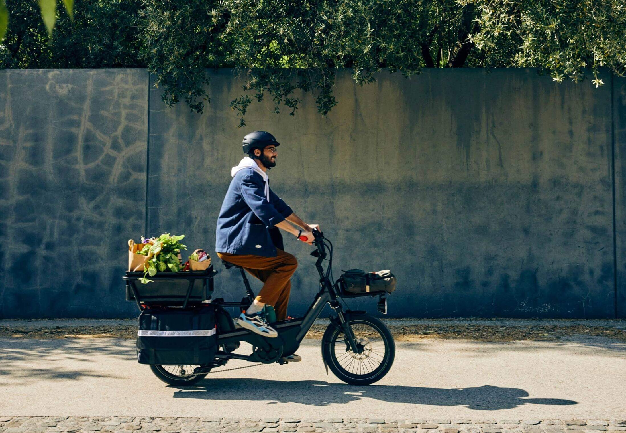 CANNONDALE Cargowagen Neo Lifestyle CANNONDALE Cargowagen Neo Lifestyle