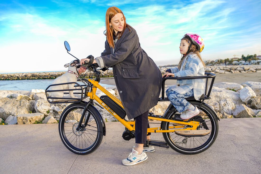 Cargo Bike iO InBicy