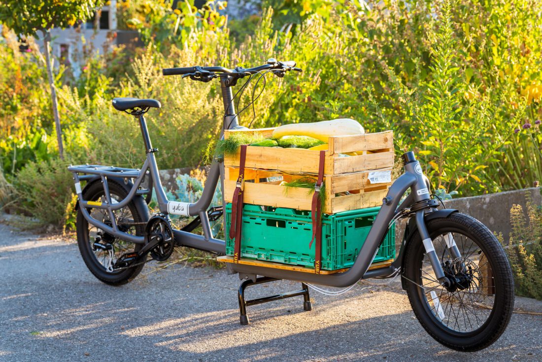 Cargo Bike - Yuba Supercargo